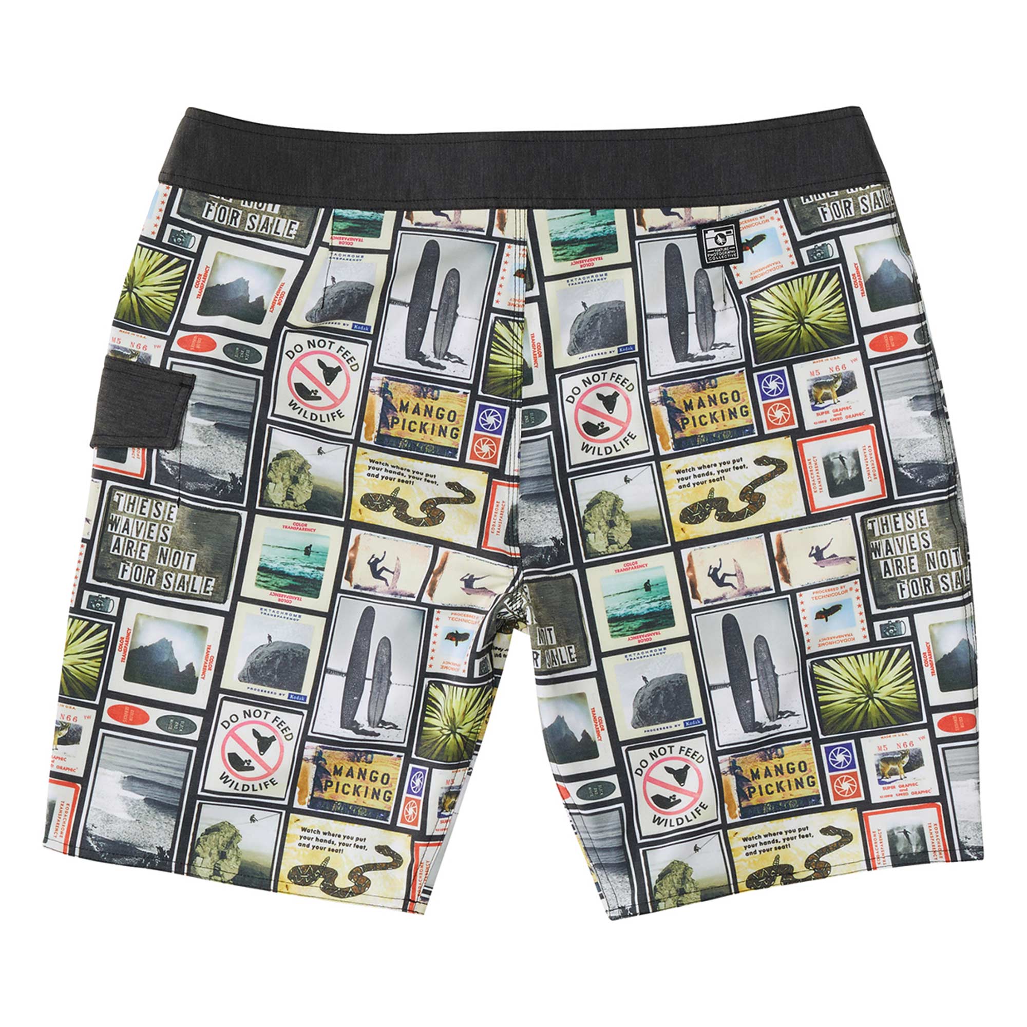 HIPPYTREE Boardshort COLLAGE TRUNK, natural 33